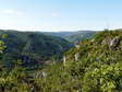 Summer in Cantobre - Castel de Cantobre Gîtes, Aveyron, France