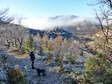 Winter in Cantobre - Castel de Cantobre Gîtes, Aveyron, France