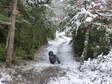 Winter in Cantobre (the snow usually only lasts a day or two) - Castel de Cantobre Gîtes, Aveyron, France