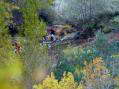 Through the Trevezel river - Castel de Cantobre Gîtes, Aveyron, France