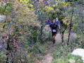 Run up the track - Castel de Cantobre Gîtes, Aveyron, France