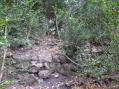 Up the steep climb at the back of Cantobre - Castel de Cantobre Gîtes, Aveyron, France